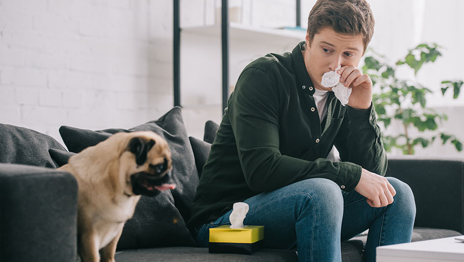 Getting an air purifier is one of the top methods to improve your house’s indoor air quality. Discover more about the three top products. 